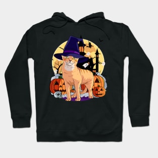 Abyssinian Cat Funny Halloween Witch Pumpkin Hoodie